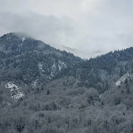 Centre-ville, 4 Pers, à 600m Télécabines - Fr-1-234-319 Appartamento *